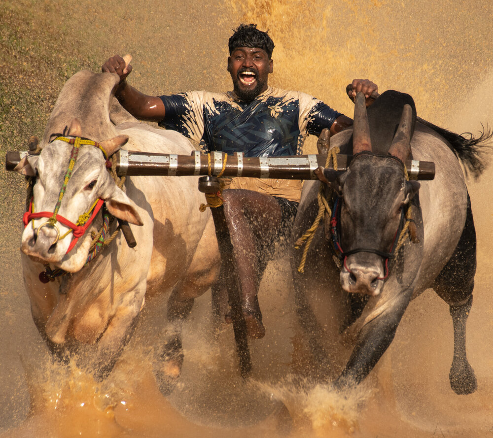 Photograph by Jithin Thomas