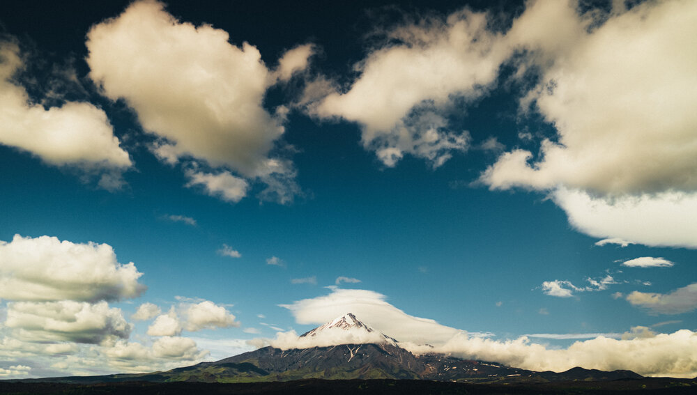 Photo #13787317