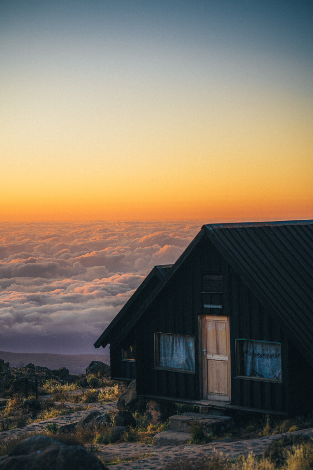 Photo #13787318