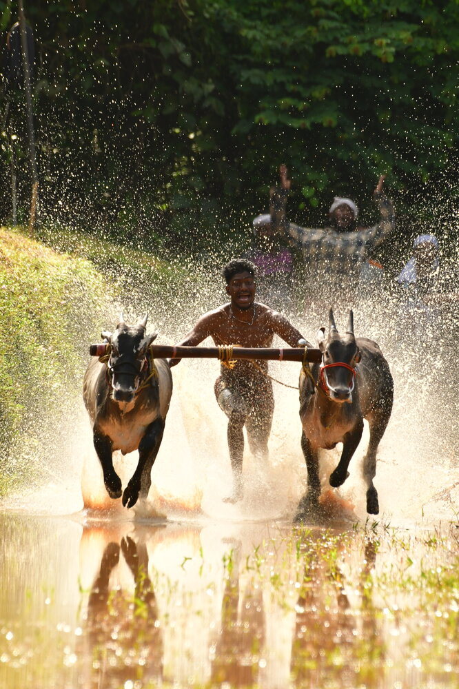 Photograph by Jithin Thomas