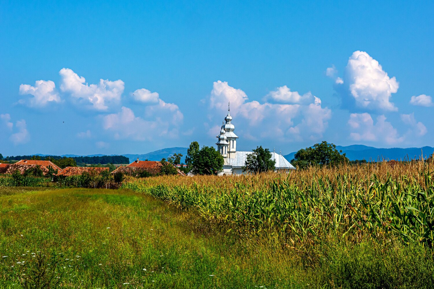 Село Пэкэлешти