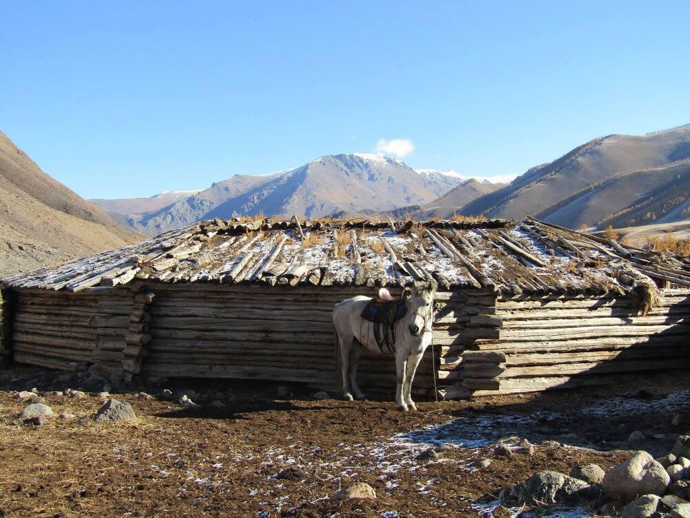 Photo #13787438