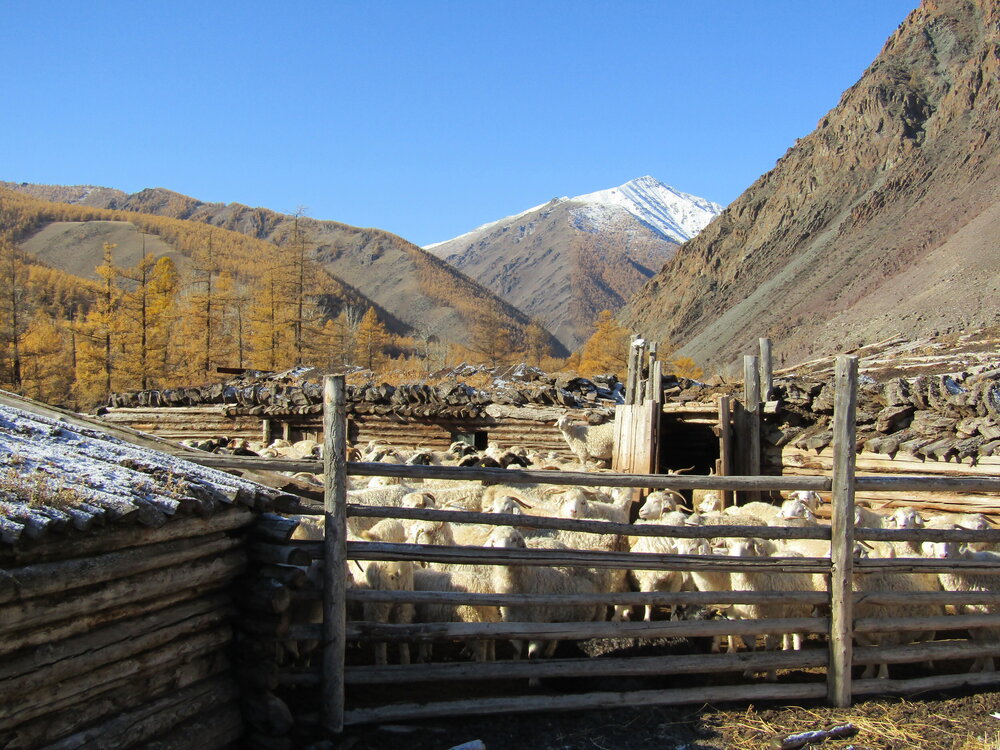Photo #13787440