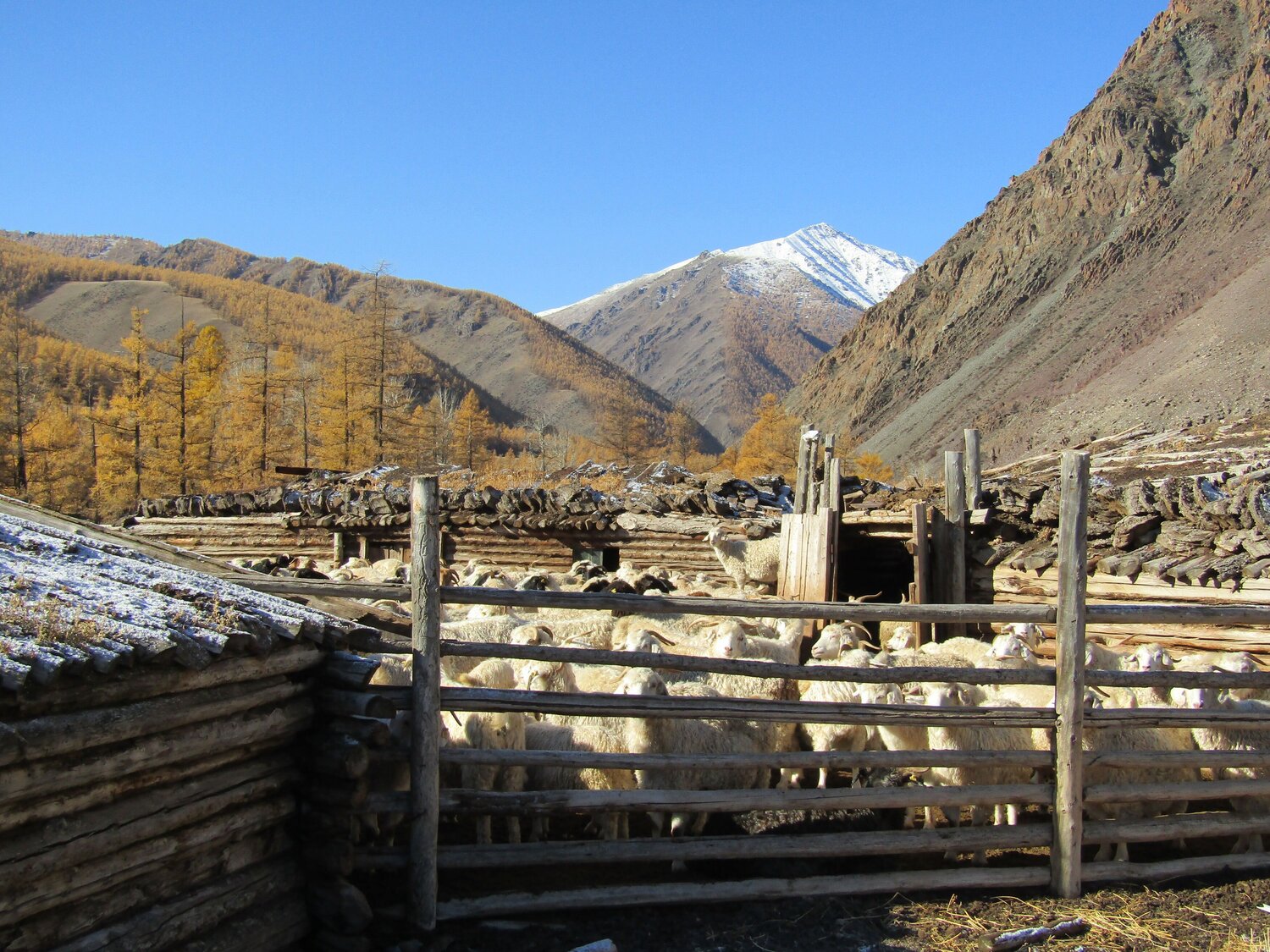 Photo #13787440