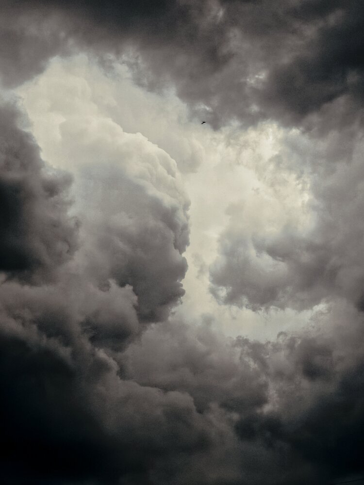 Photograph by Светлана Кустова