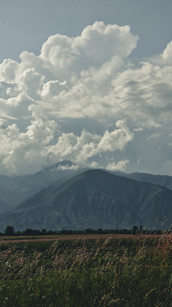 Photograph by Залина