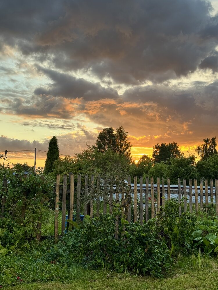 Photograph by Алёна Монахова