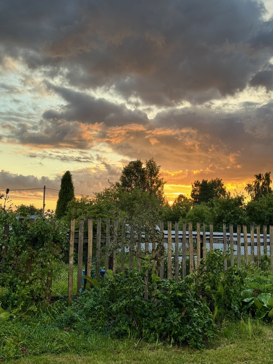Photo #13787504