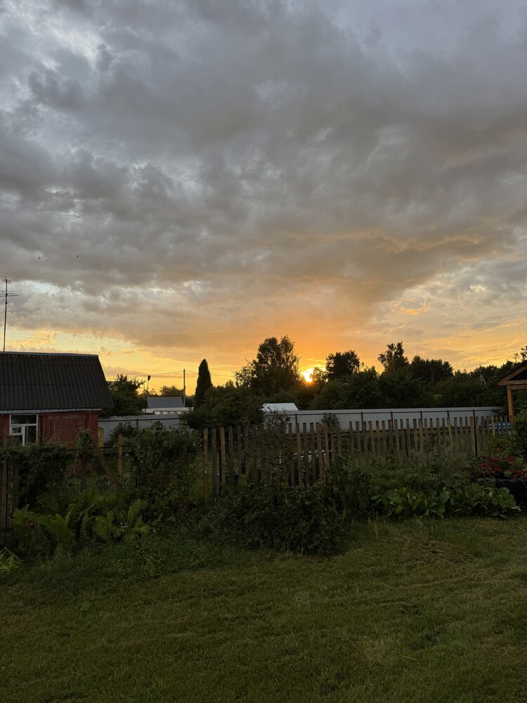 Photograph by Алёна Монахова