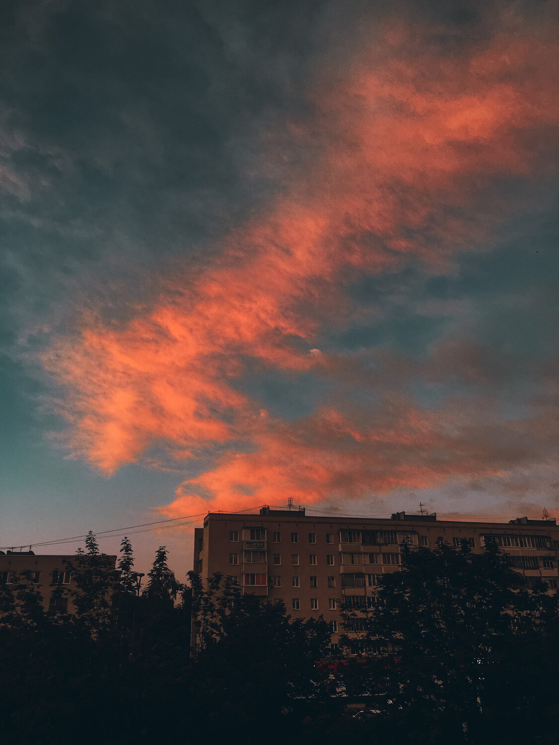 Photo #13787514