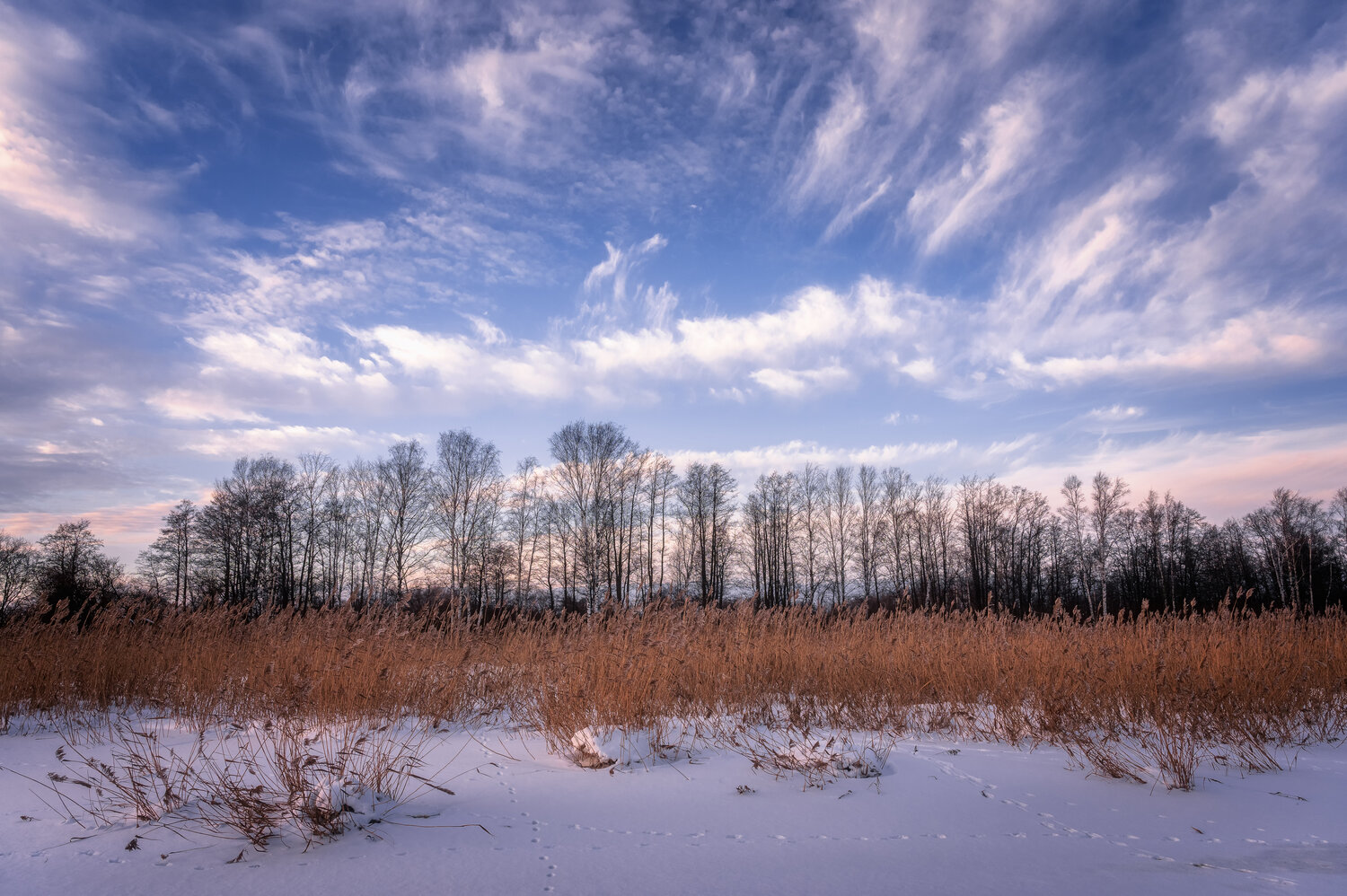 Photo #13787527