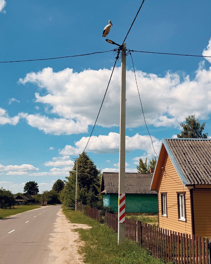 Photograph by Евгения Остроумова