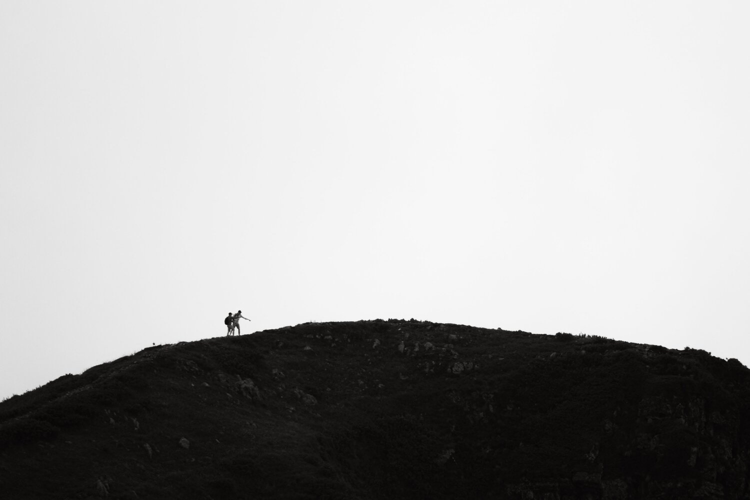 Photo #13787548