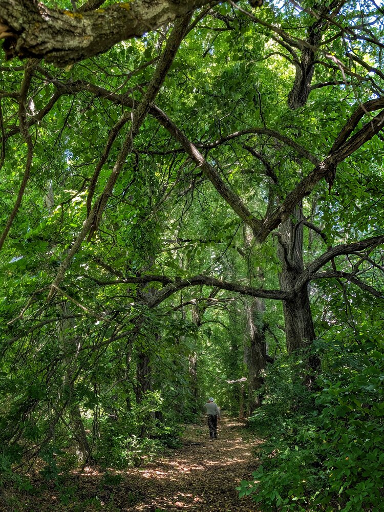 Photograph by Любовь Колмакова