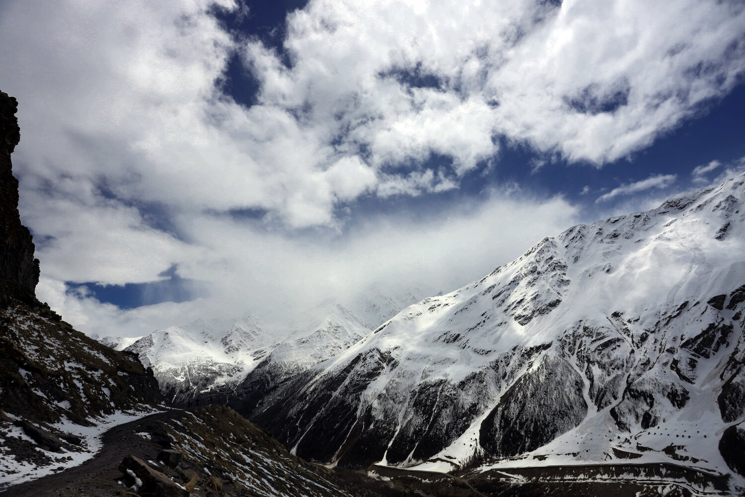 Photo #13787566