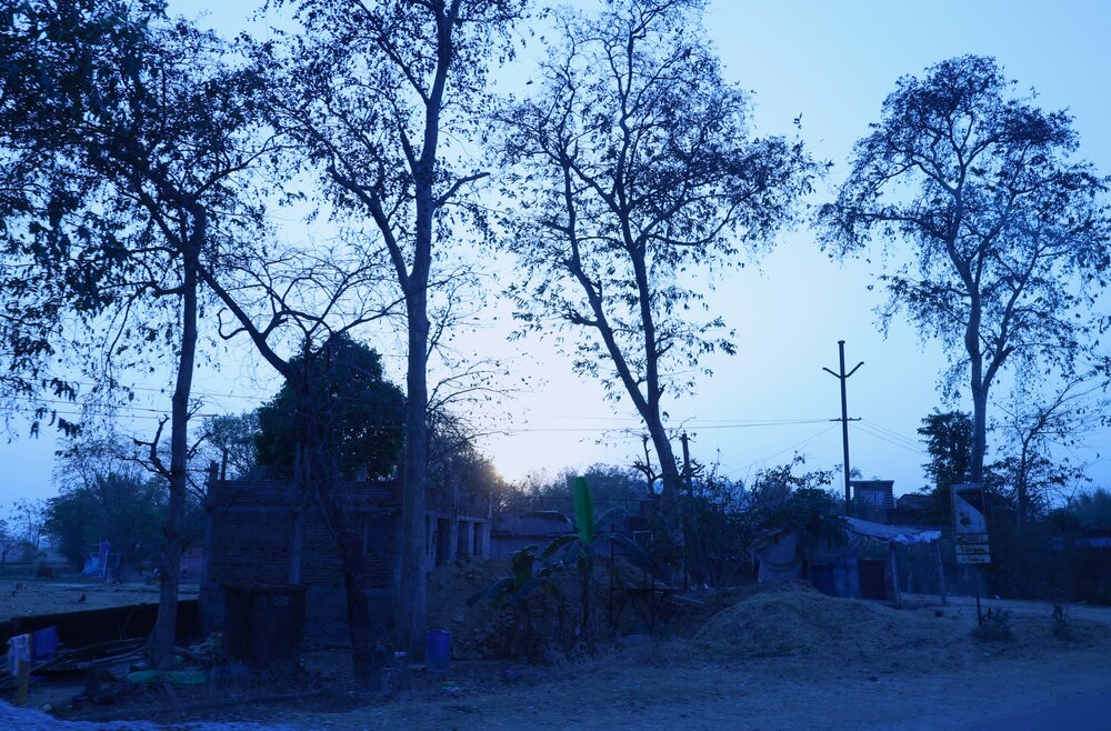 Photograph by G GOVIL