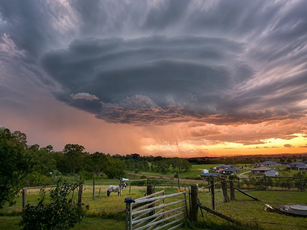 Photograph by Alizetta Dawson