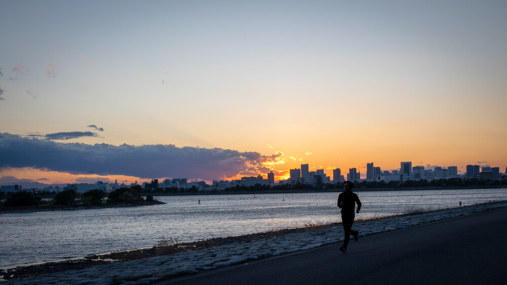 Photo #13787615