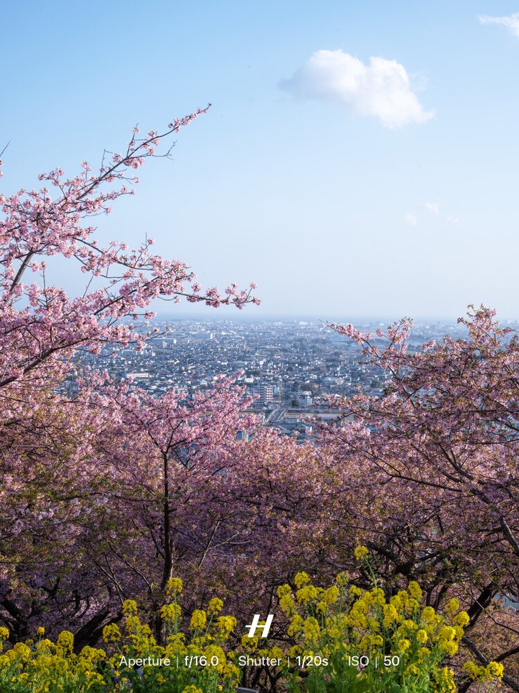 Photograph by Kiriya N