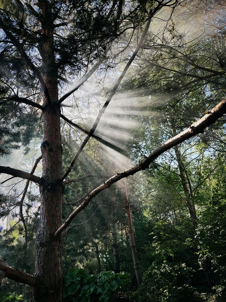 Photograph by Юлия Порфирьева