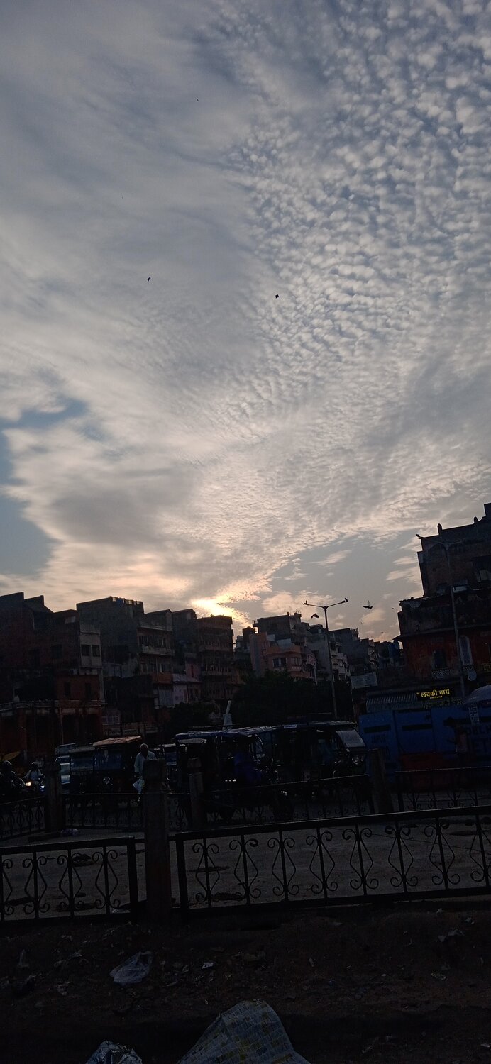 Photo #13787641
