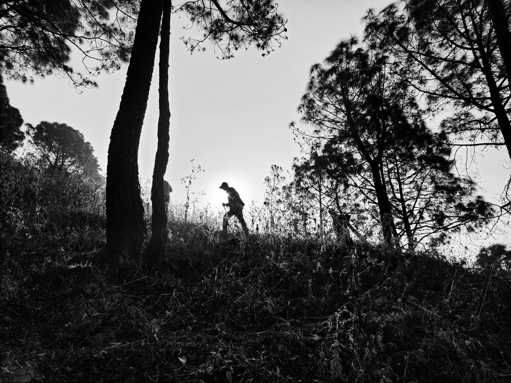 Photograph by G GOVIL