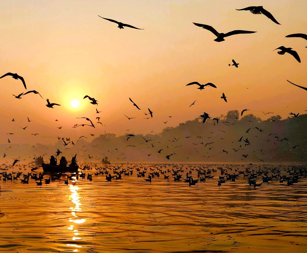 Photograph by G GOVIL