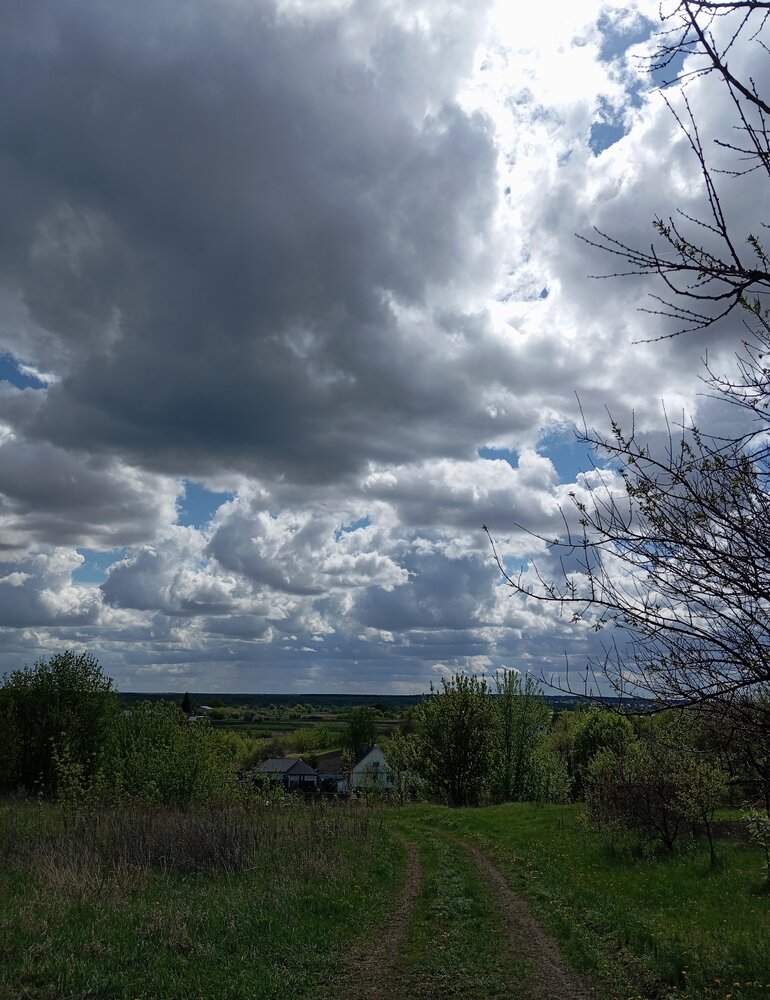 Photo #13787706