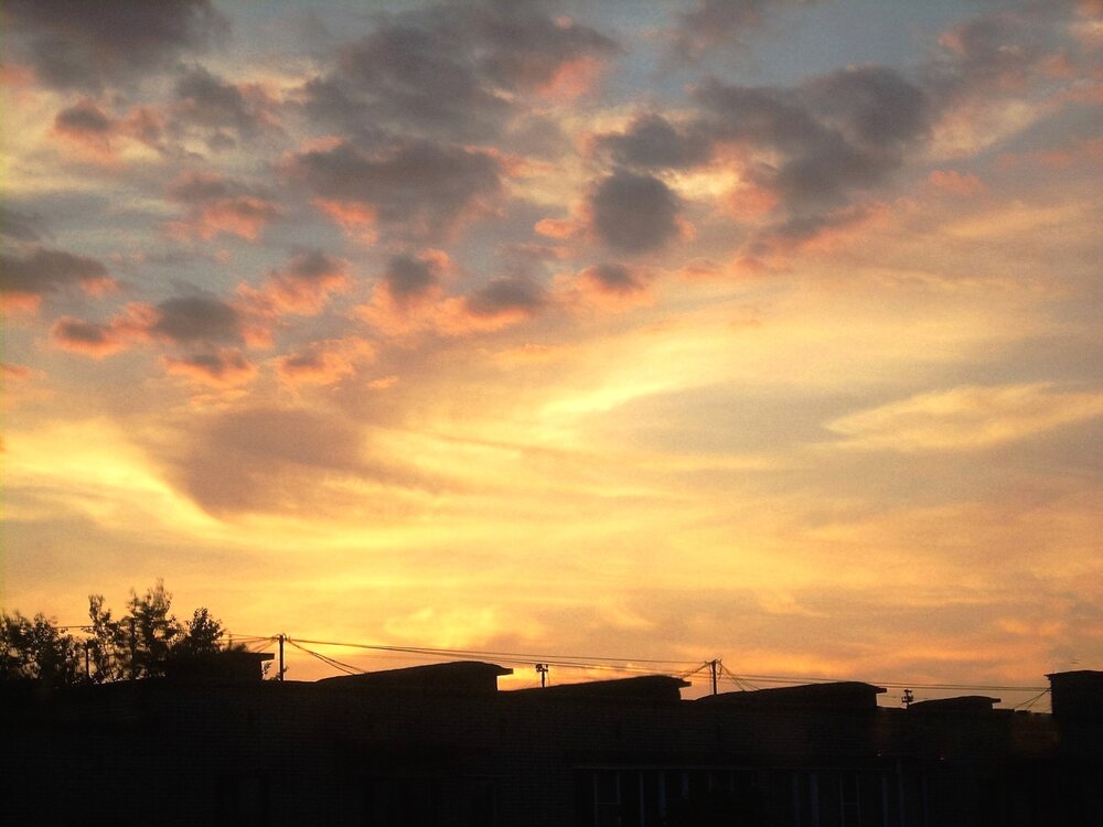 Photo #13787726