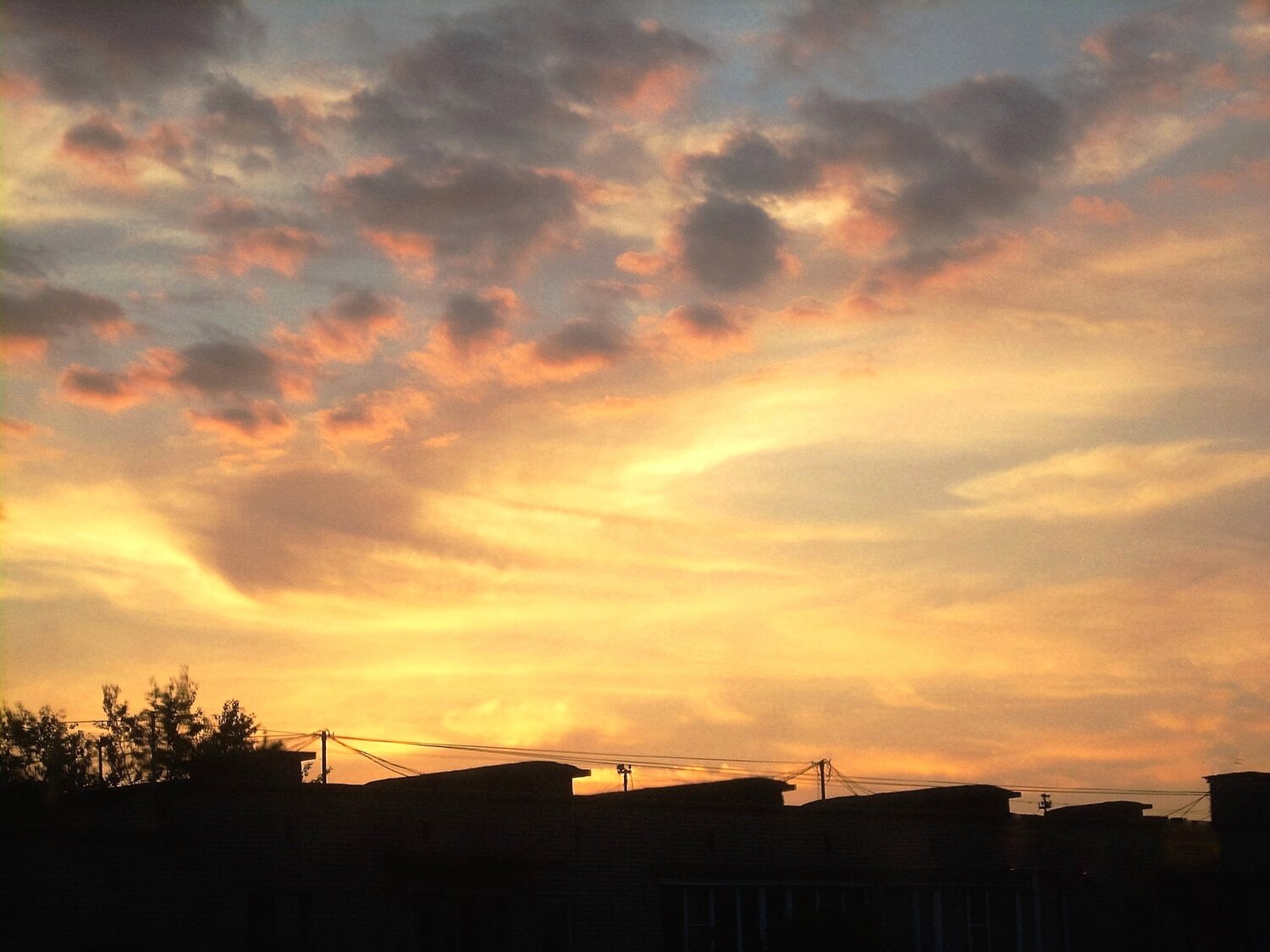 Photo #13787726
