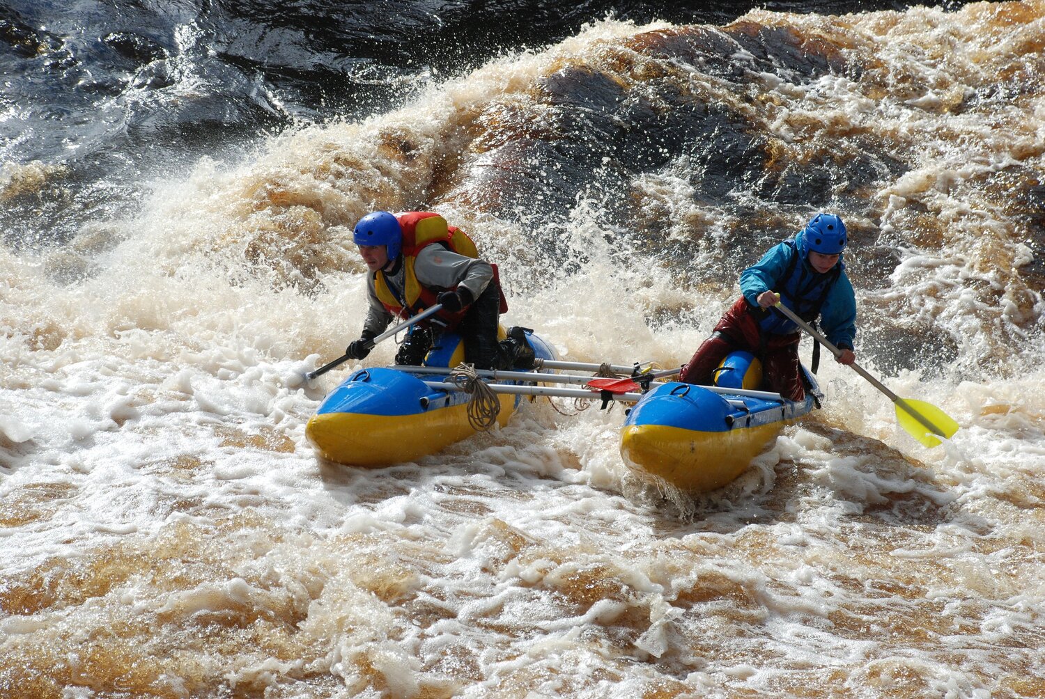 Photo #13787776