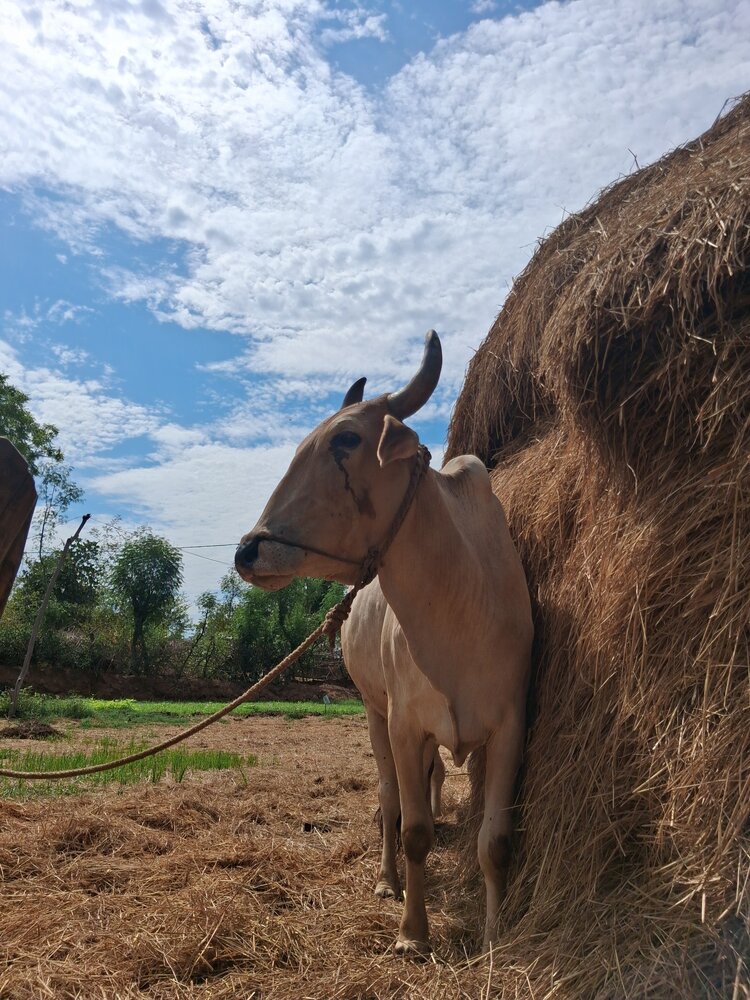 Photograph by Ishant yadav