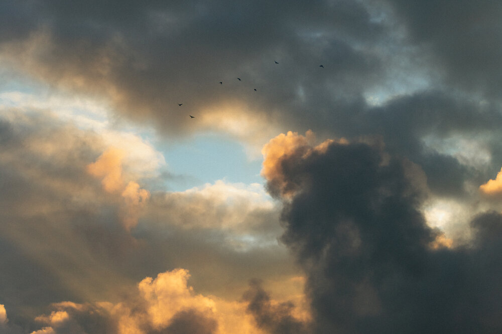 Photograph by Татьяна Бычкова