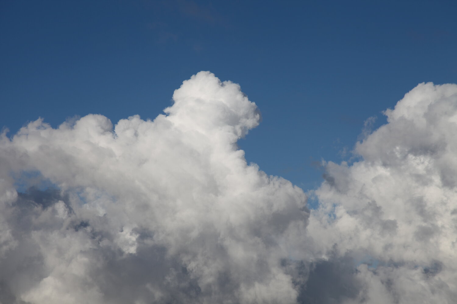 Photo #13787883