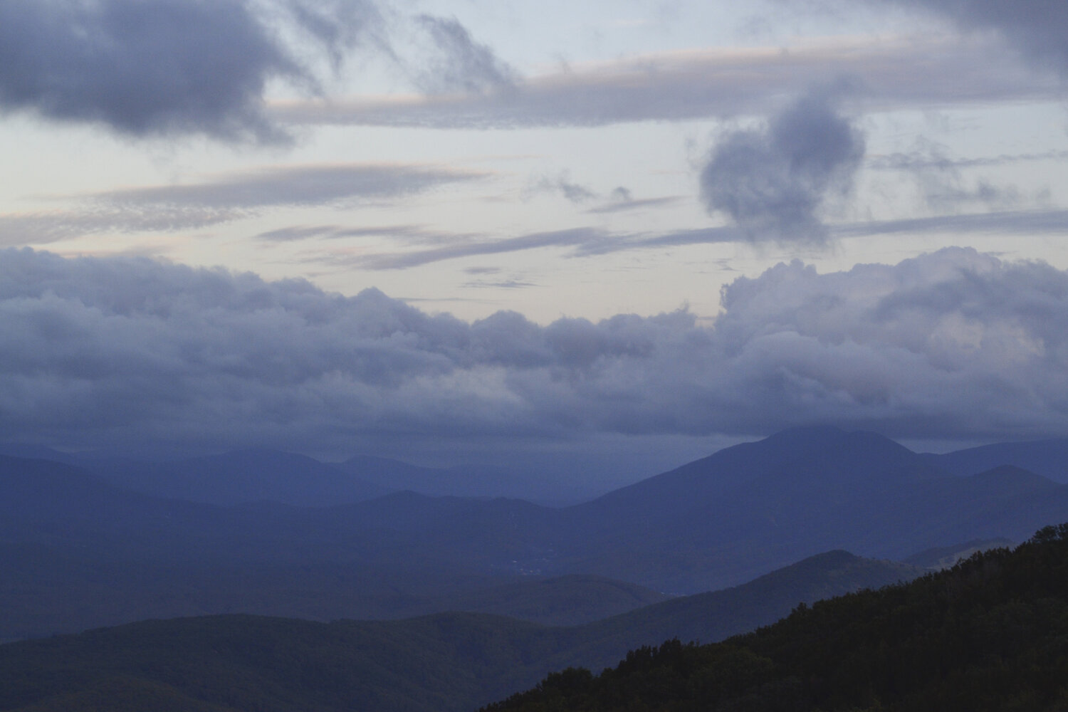 Photo #13787893