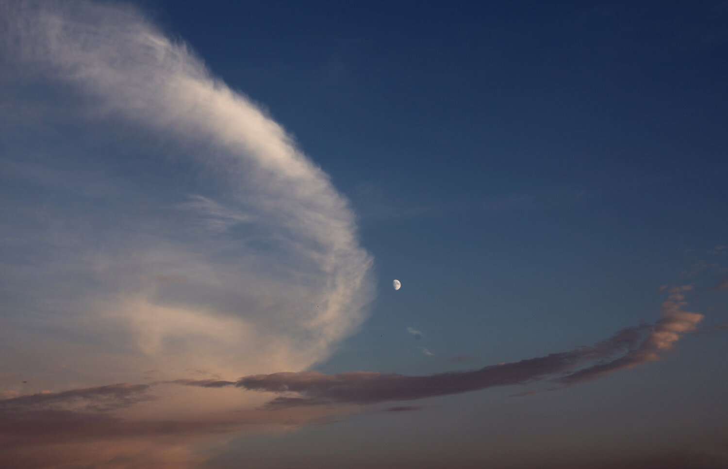 Photo #13787897