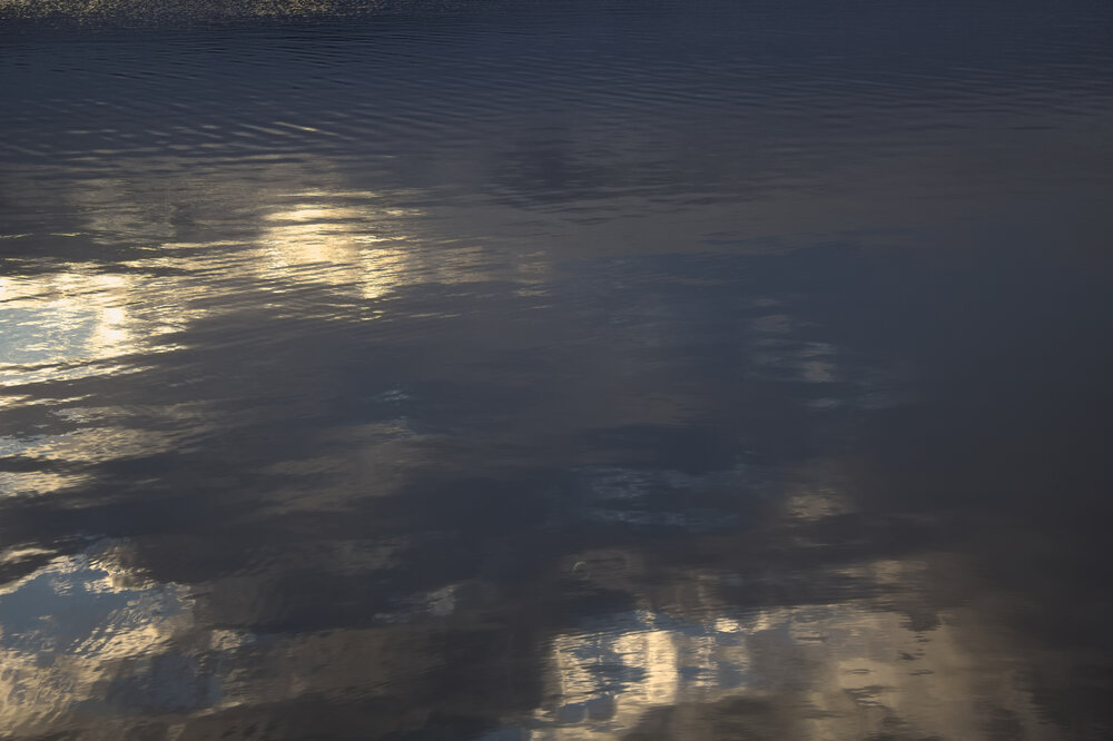 Photograph by Guillermo Topp