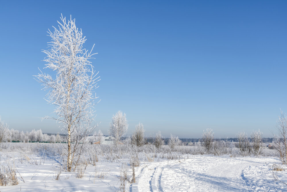 Photograph by Рыков Андрей