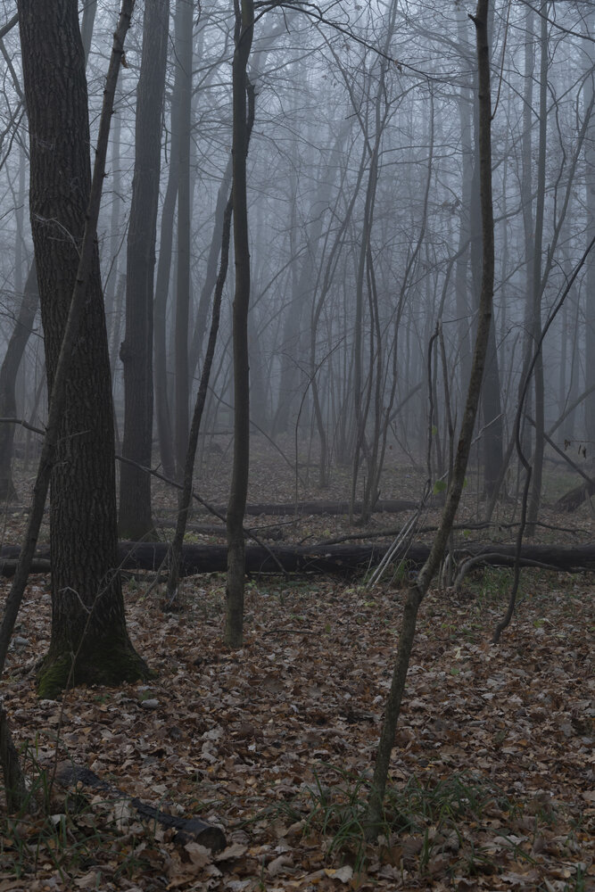 Photograph by Рыков Андрей