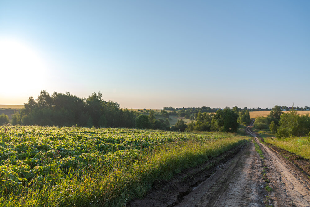 Photograph by Рыков Андрей