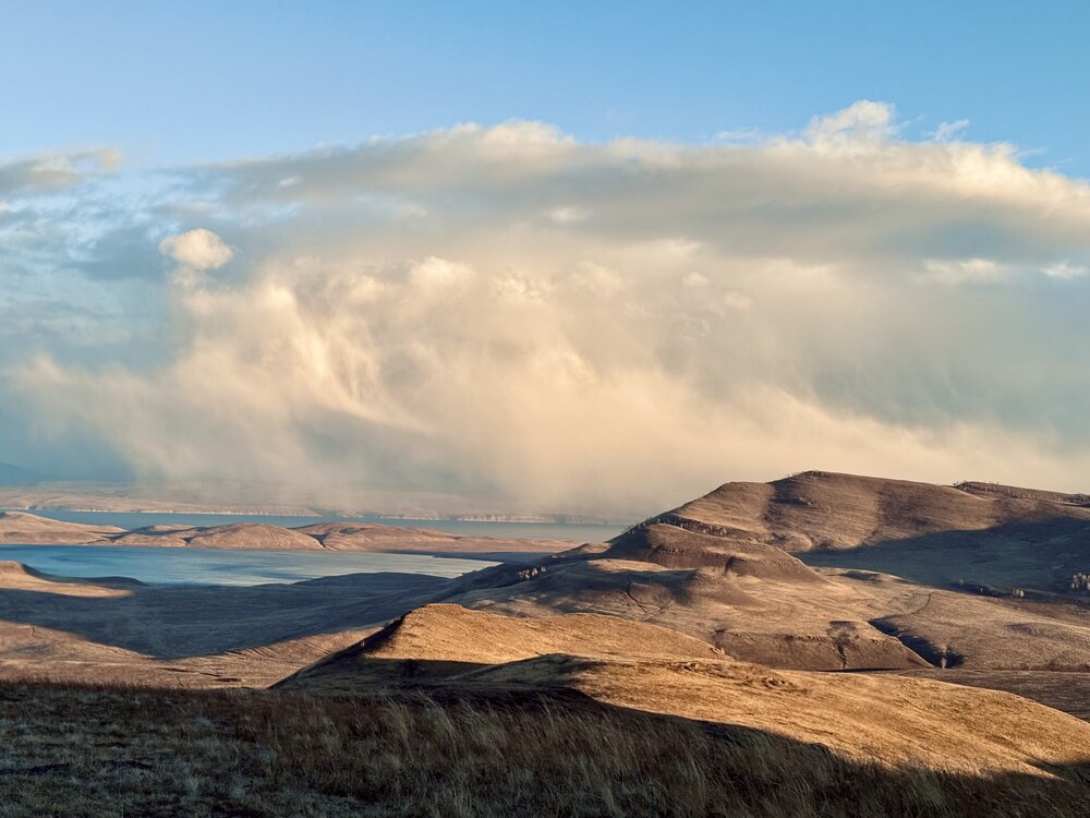 Photograph by Юлия Чернышёва