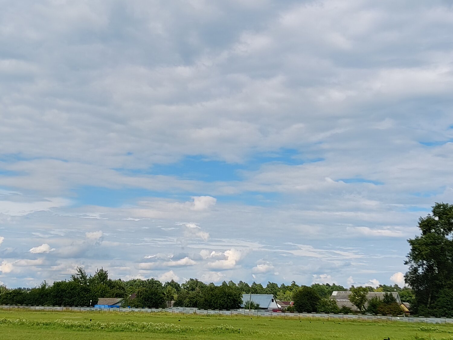 Photo #13787992