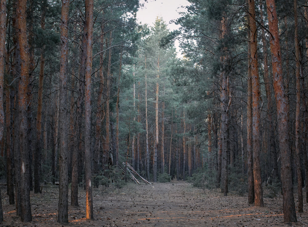 Photograph by Олег Белан