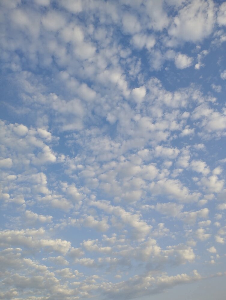 Photograph by Bogdana Gageanu
