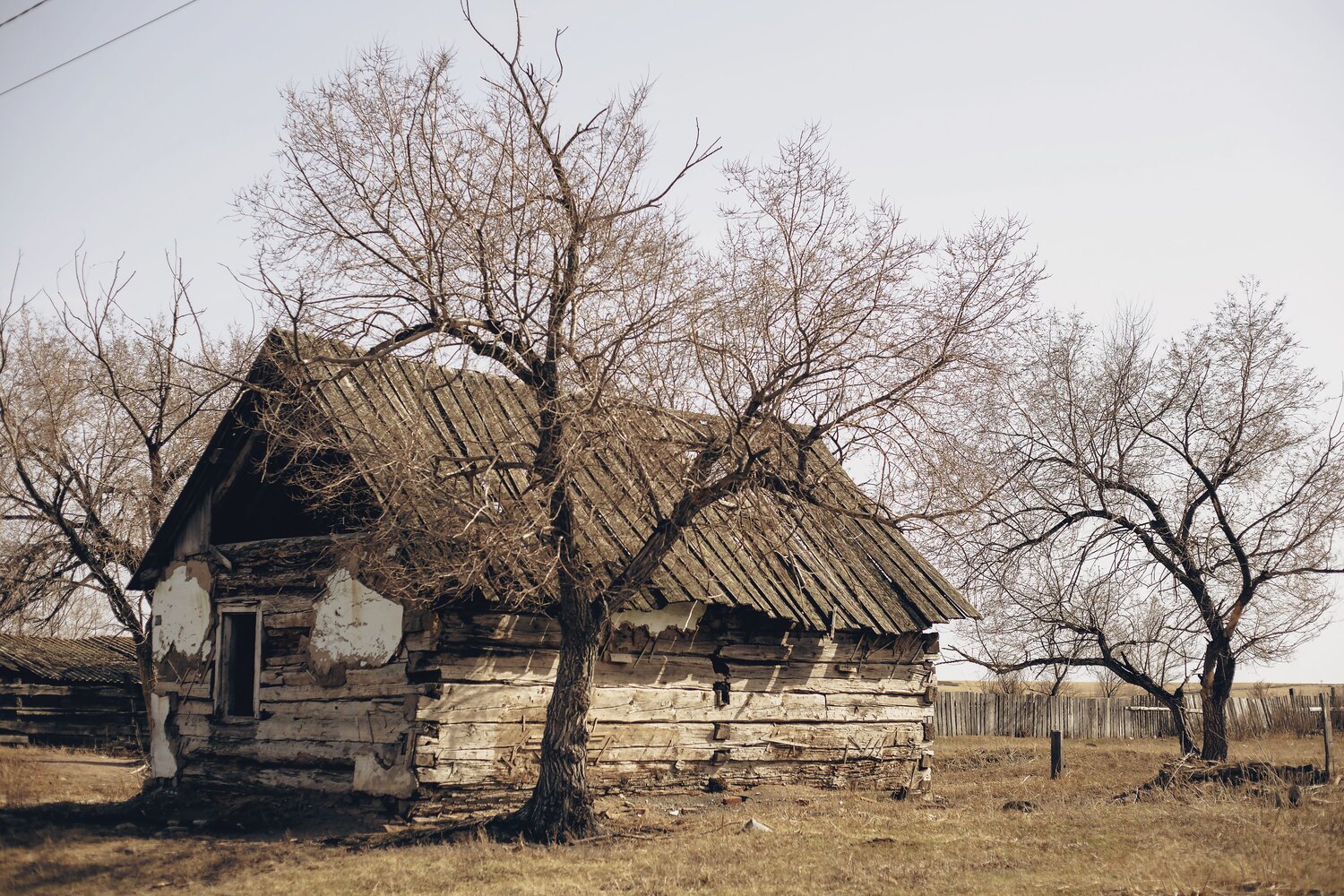 Photo #13788175