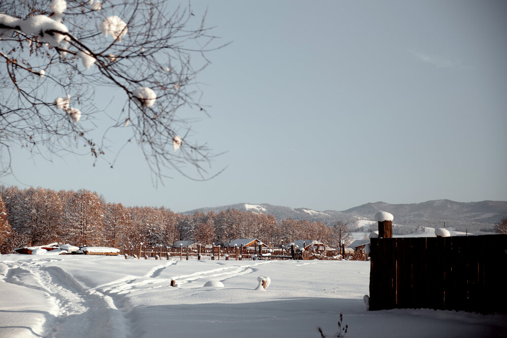 Photo #13788179
