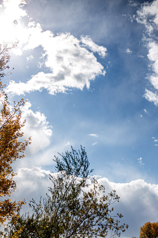 Photograph by Оксана Ланских