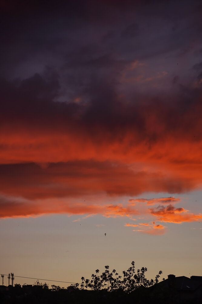 Photograph by Ольга Богданова