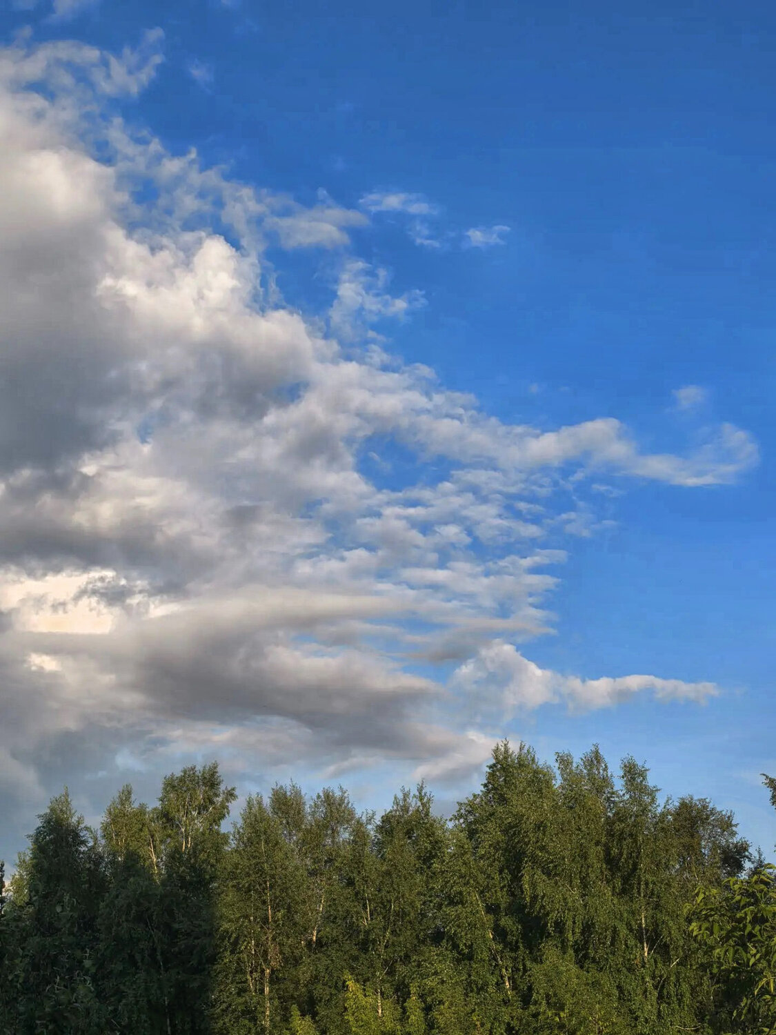 Photo #13788409