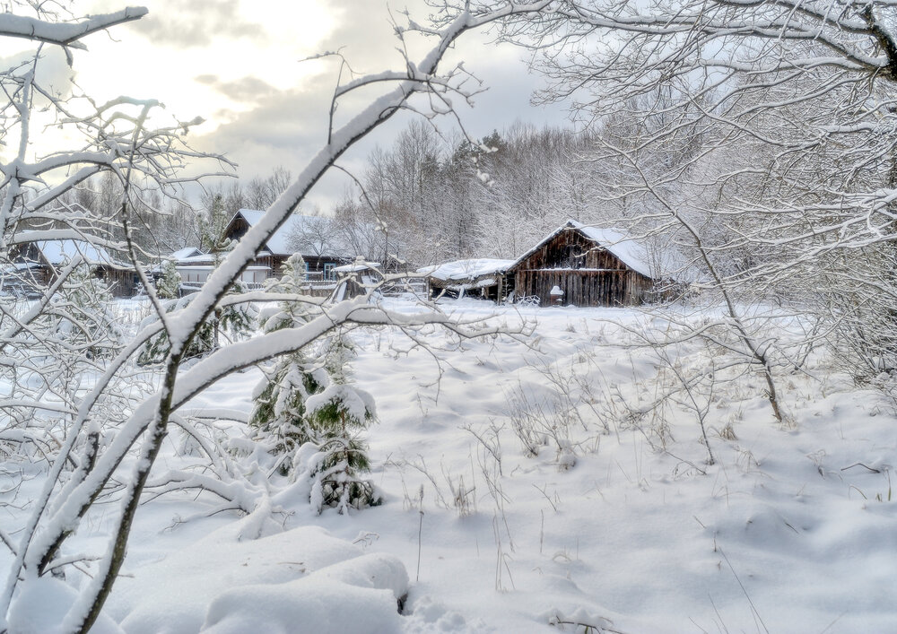 Photograph by Владимир Щеголев
